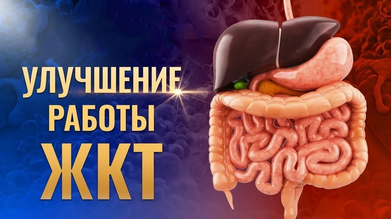 Программа 5R - комплексное восстановление работы ЖКТ.