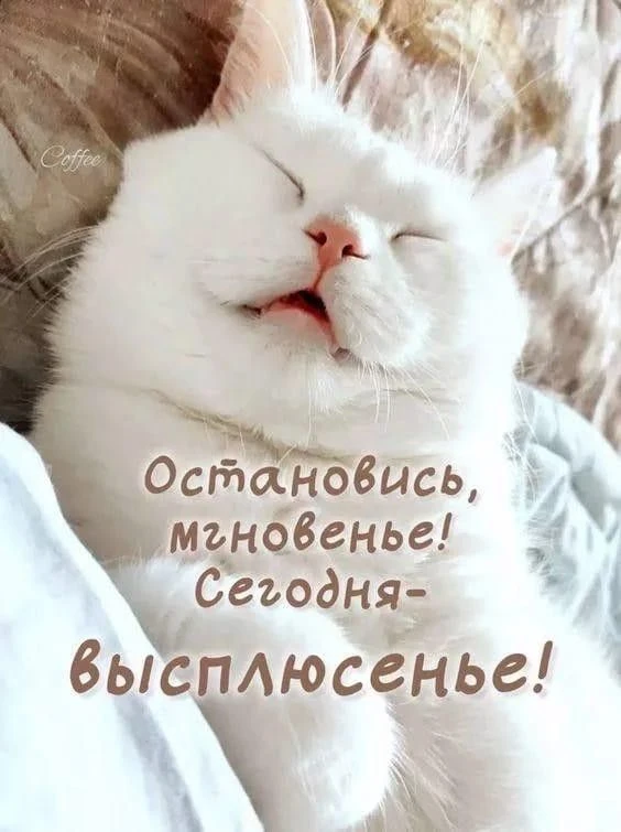 МАМИНЫ ОТКРЫТКИ