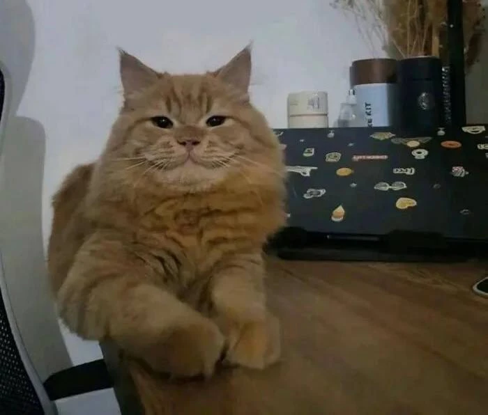 ПОВ: С каким лицом я иду с работы домой (я не сделал ничего полезного 😁)