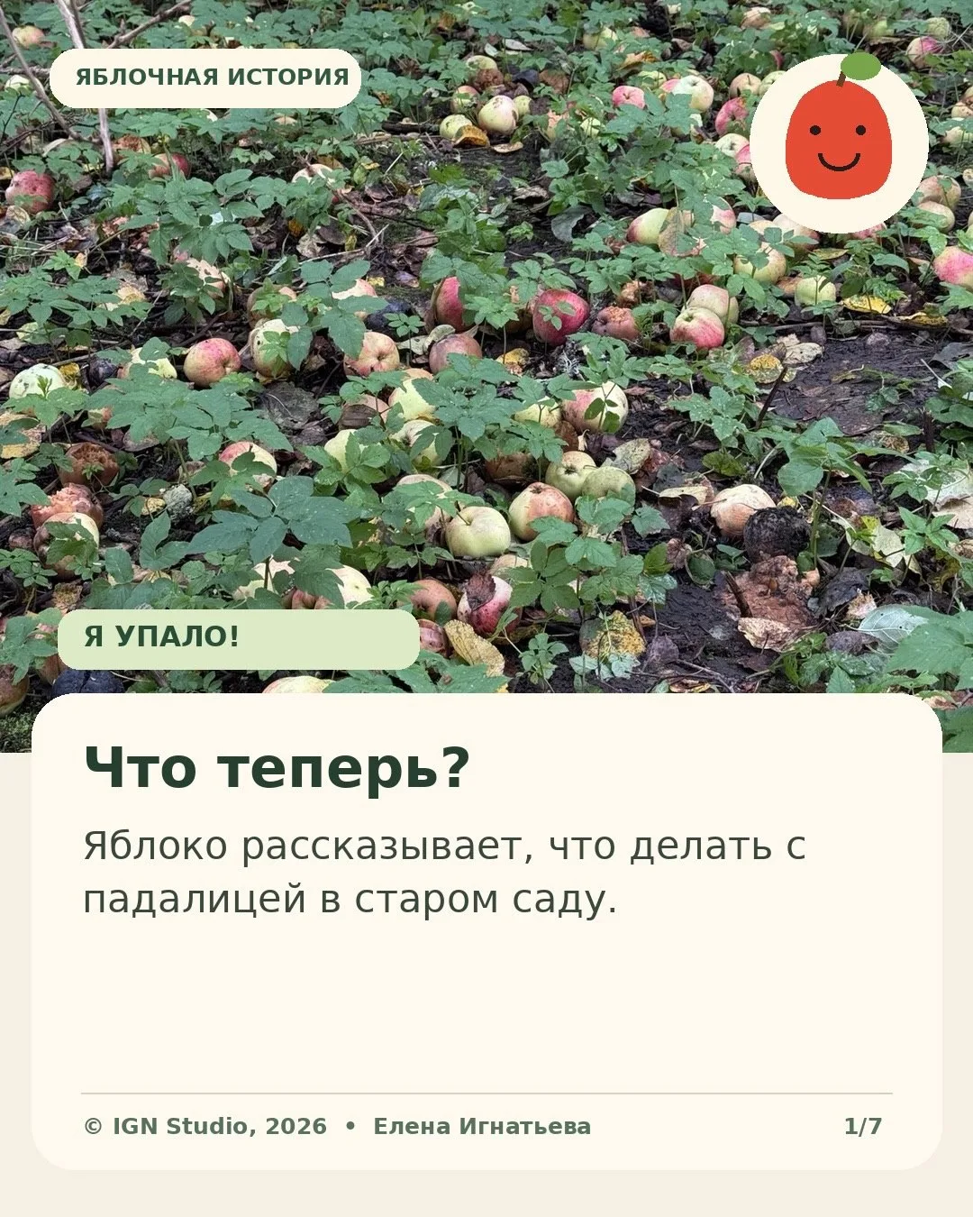 «Я упало! И что теперь со мной делать?» 🍎