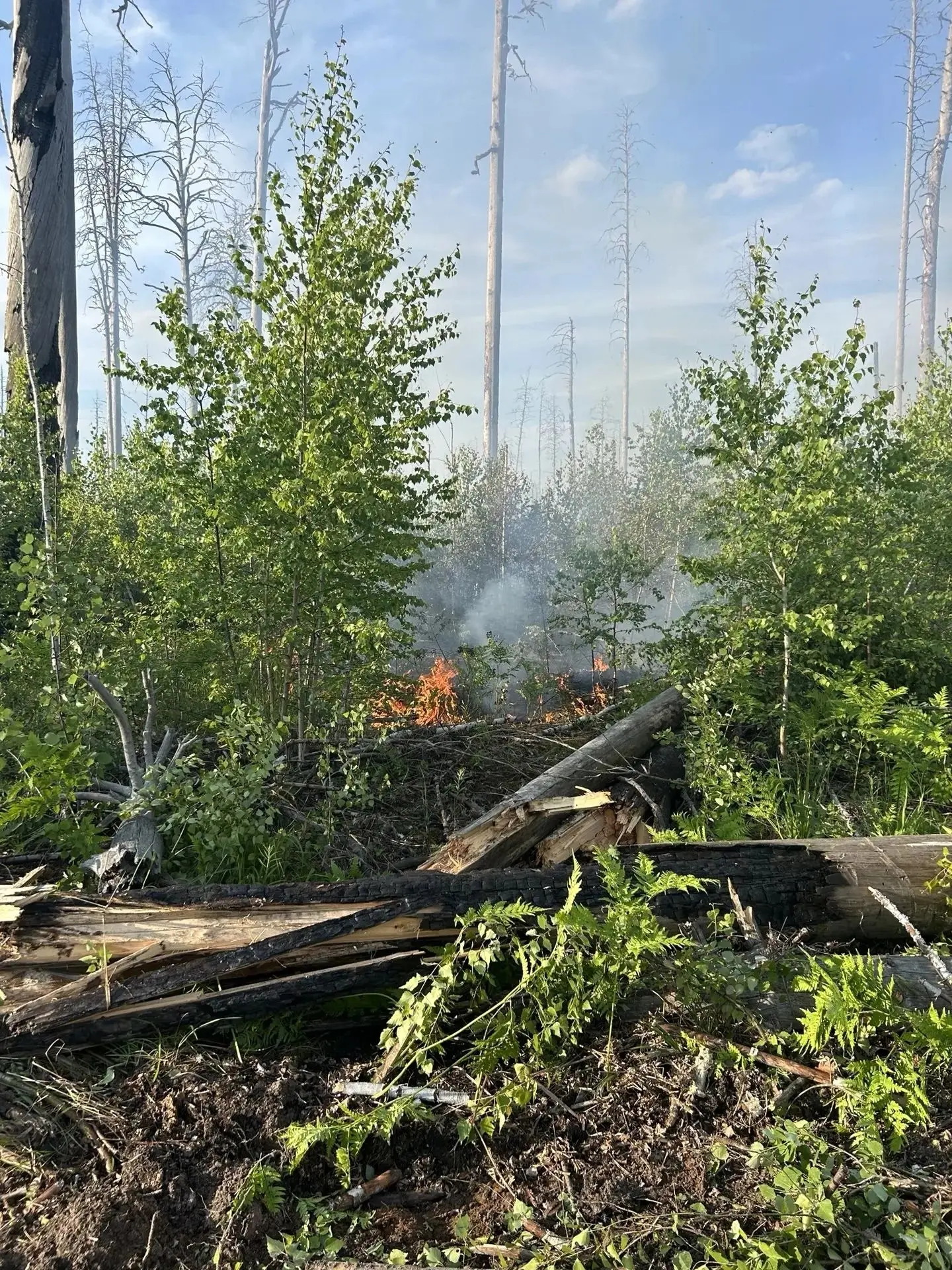 📍 Пожар на территории ФГБУ «Заповедная Мордовия» им. П.Г. Смидовича локализован

12 июня 2026 года 
