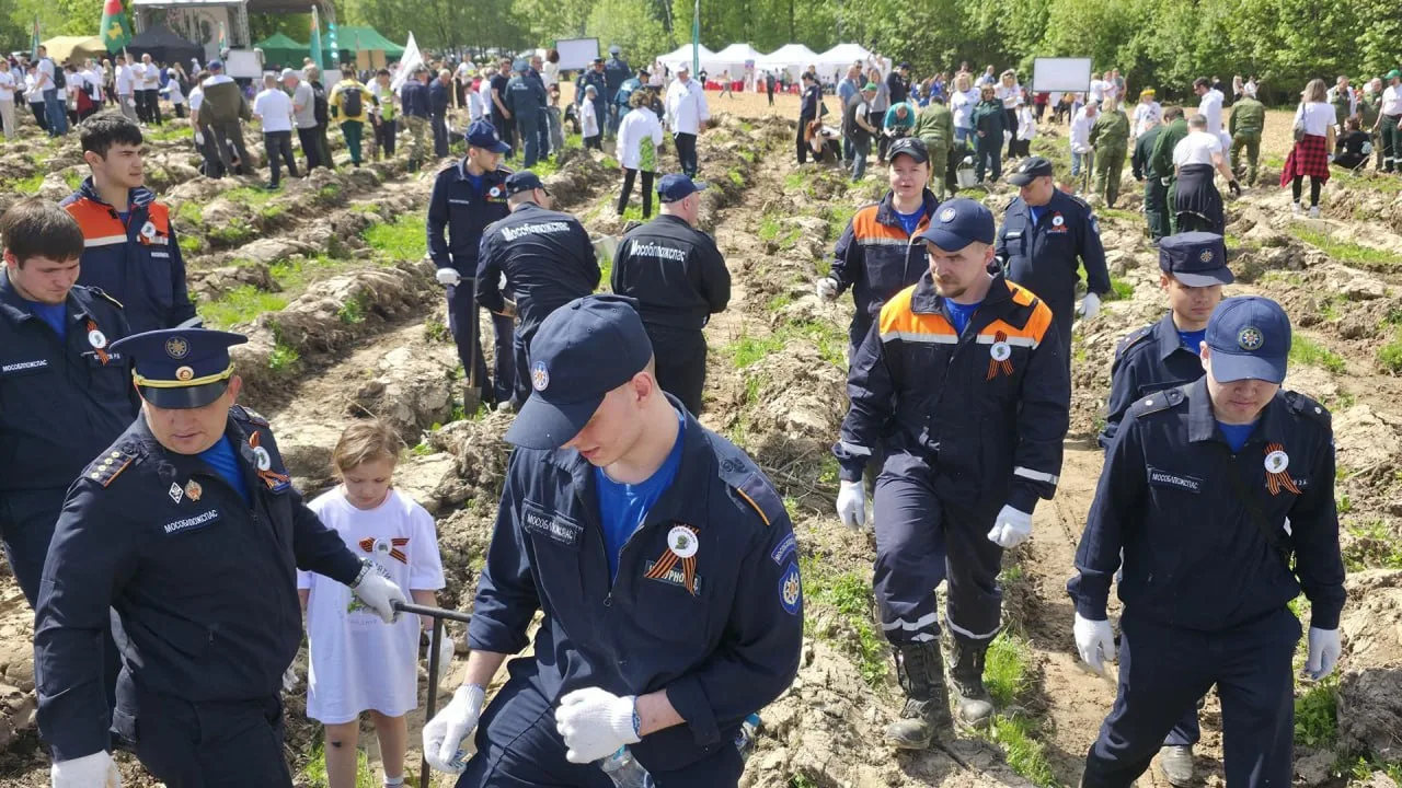 ✴️ Чтобы помнили. Пожарные и спасатели присоединились к эколого-патриотической акции 🌲  🚒 Работники 