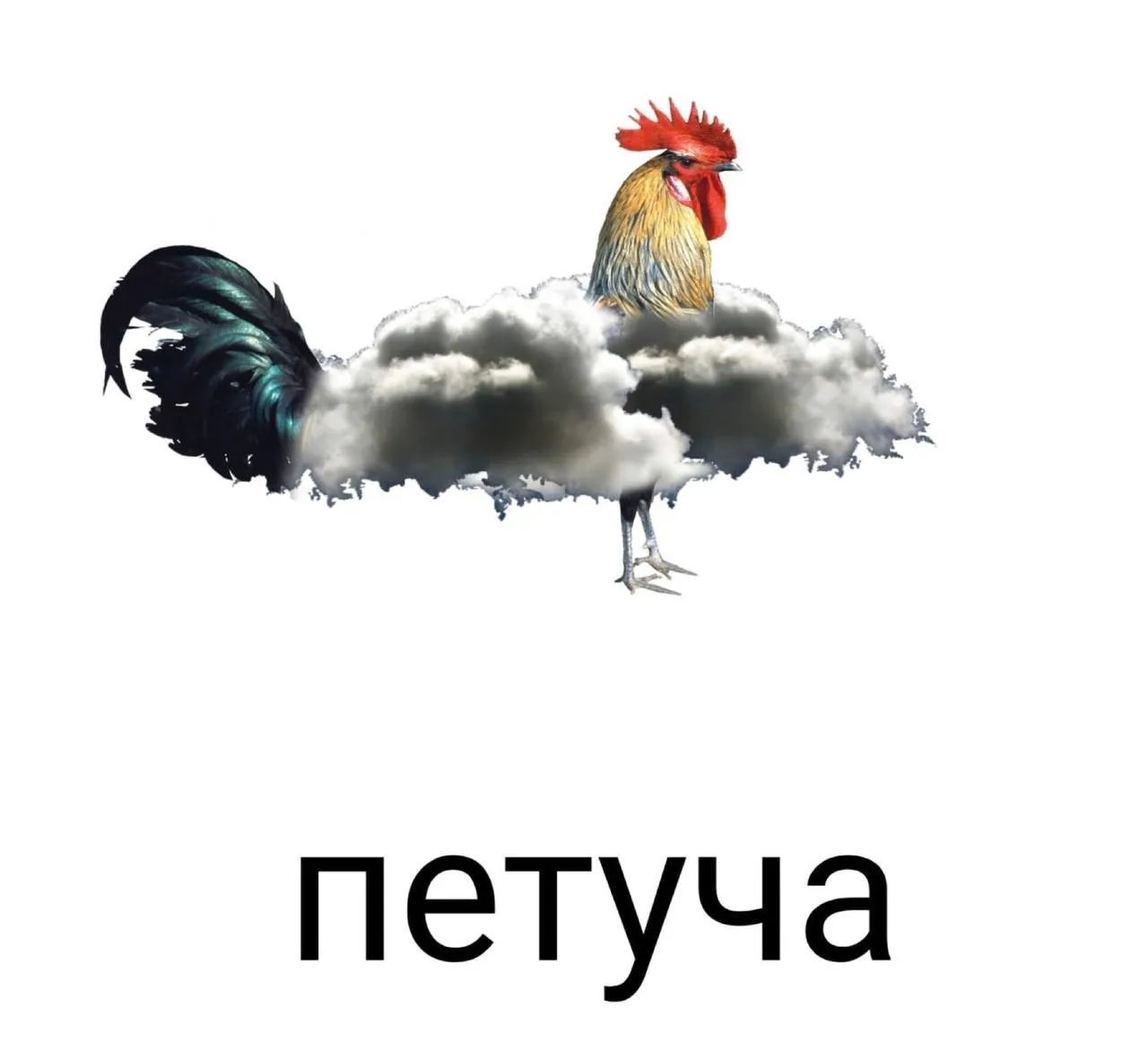 Какой вариант лучше ?
1️⃣ - 👍 
2️⃣ - 🔥