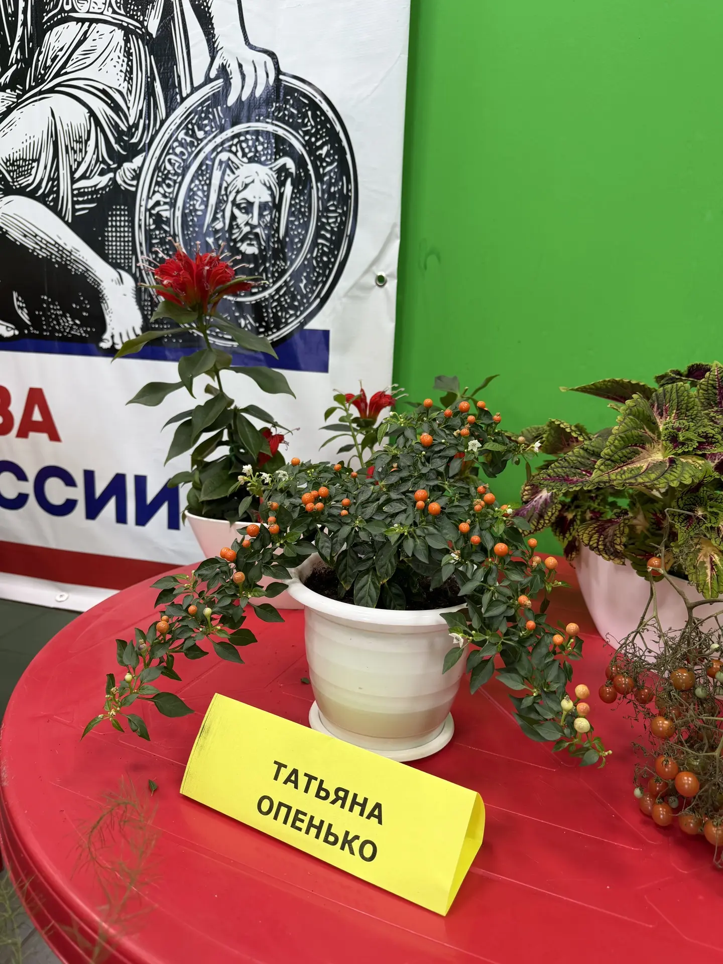 Сходили в дом культуры на выставку цветов ☺️