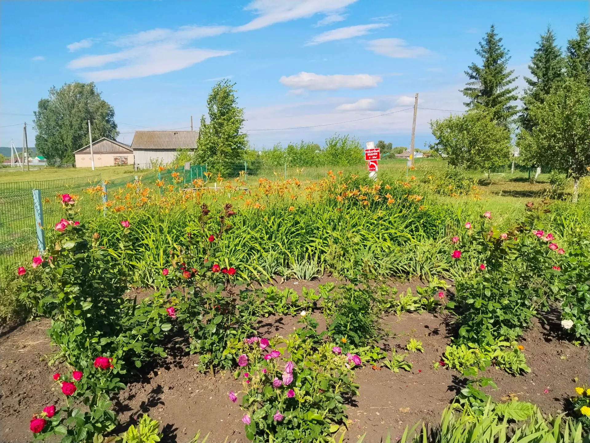 Школьный сад благоухает цветами 🌹🌺🌼
