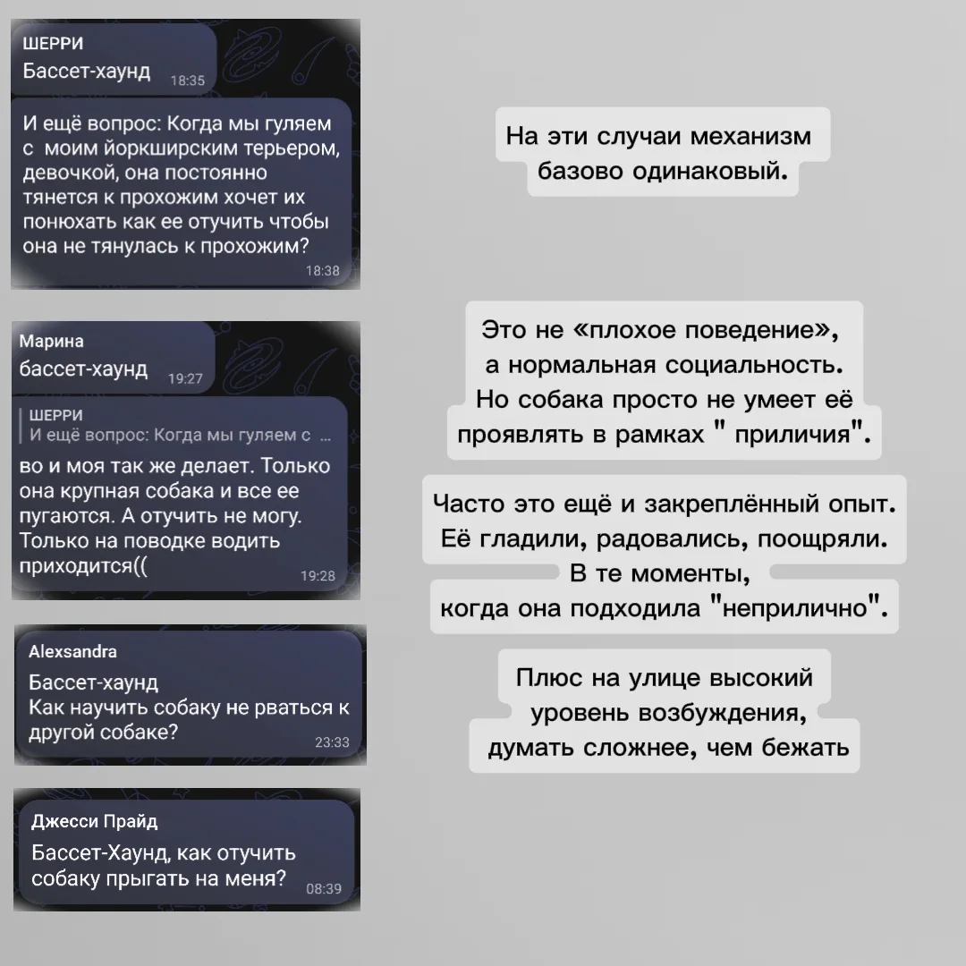 Ответы на вопросы 

Плюс кому-то отвечаю в комментариях