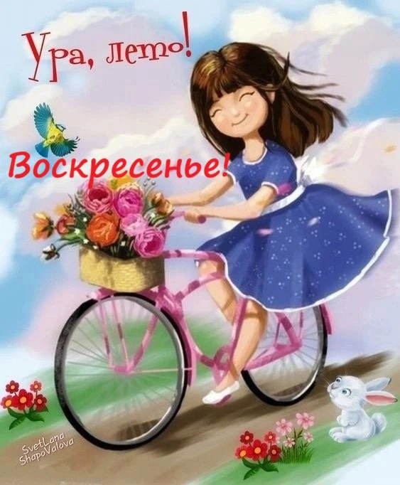 Хороший сегодня день! Лето! Воскресенье! И до Нового года…200 дней!