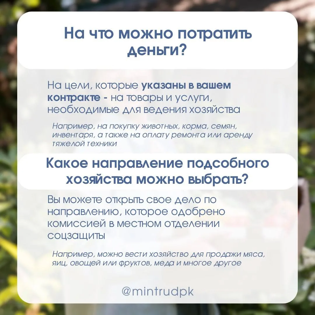 Социальный контракт на ведение личного подсобного хозяйства   Отвечаем на вопросы об условиях заключ