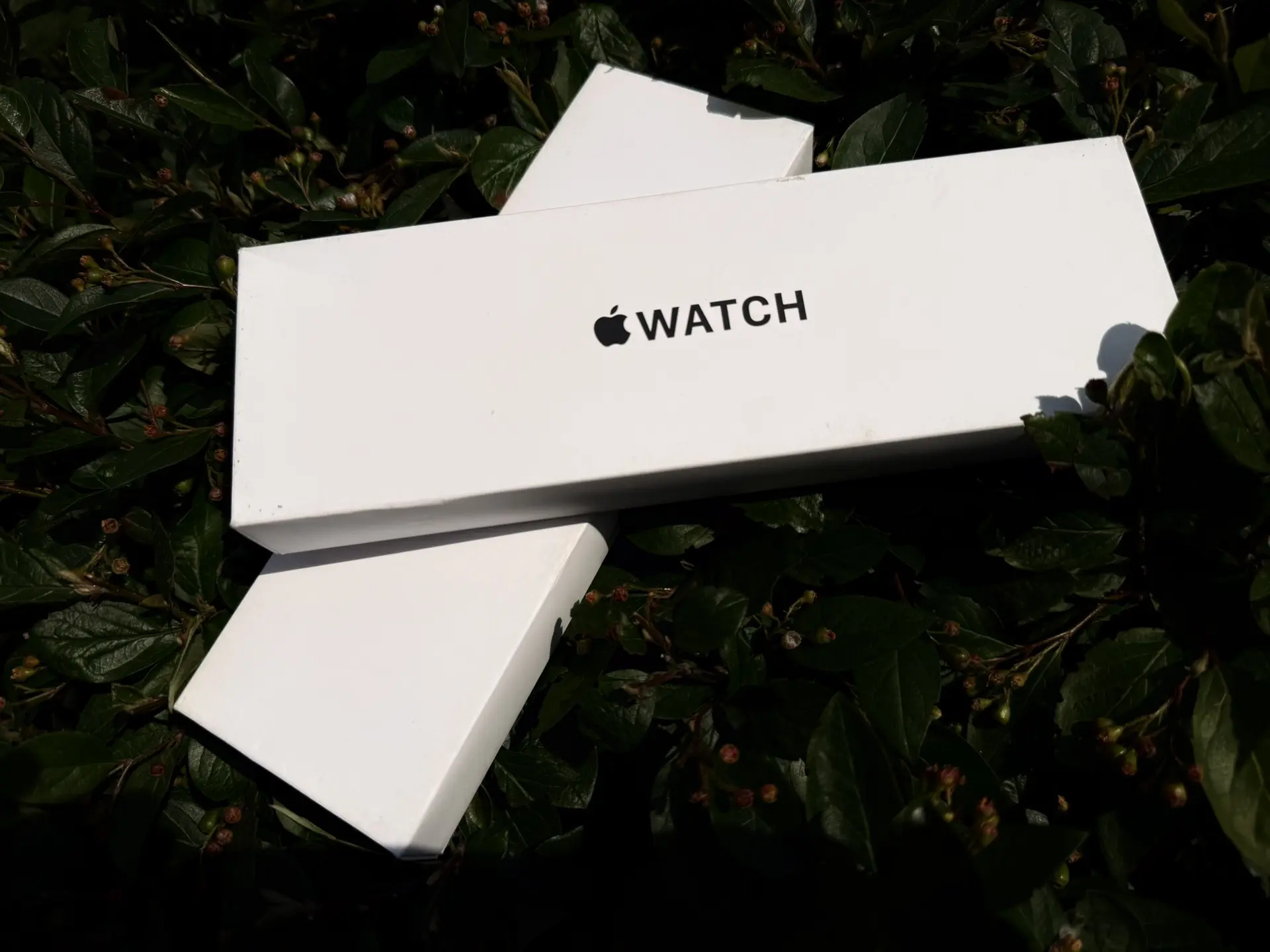 ⌚️ Apple Watch SE 2

40 mm / 44 mm

Стоимость: От 18.990₽

*цена актуальна за наличный расчет

Чат с