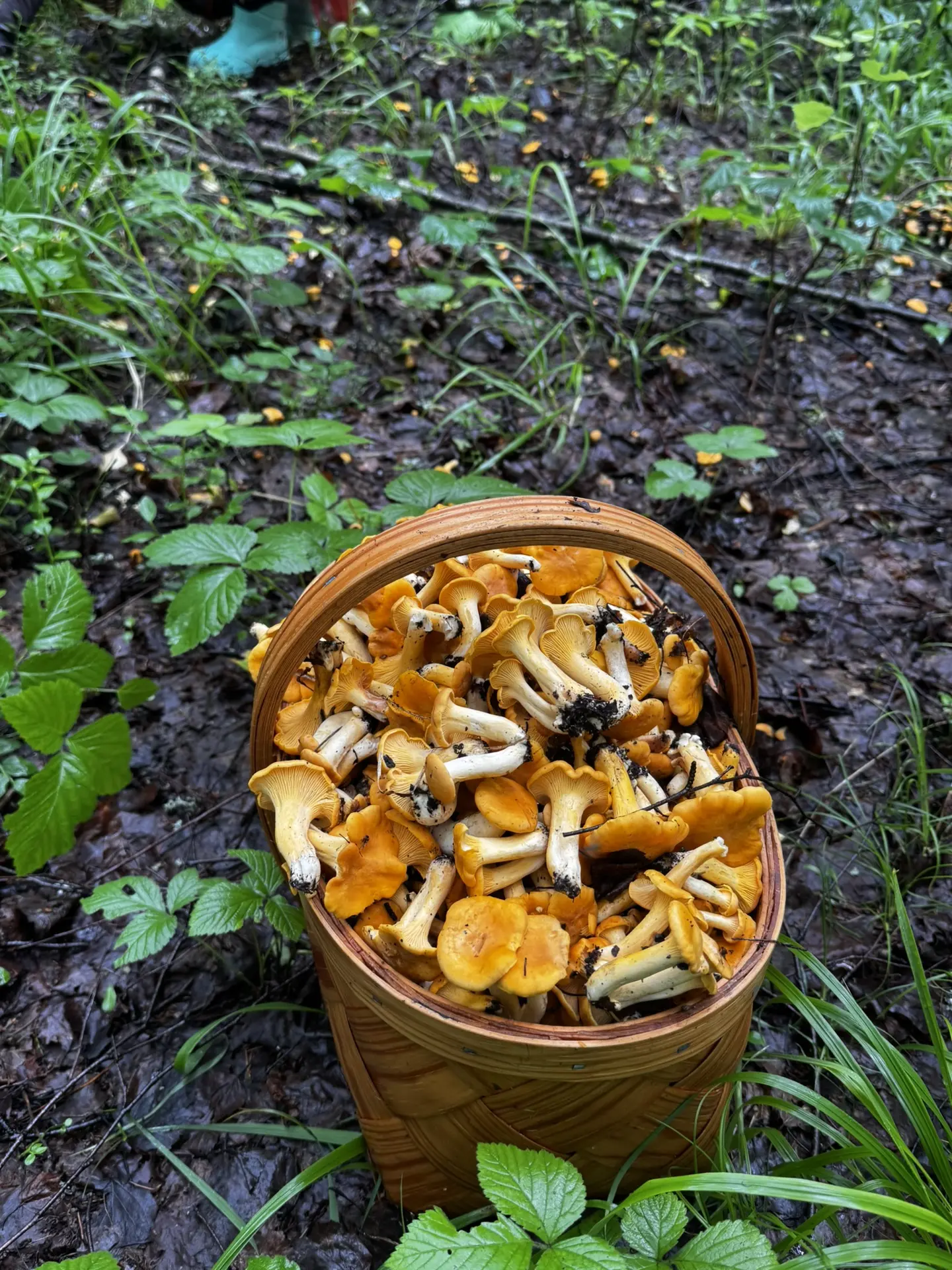 Полное!