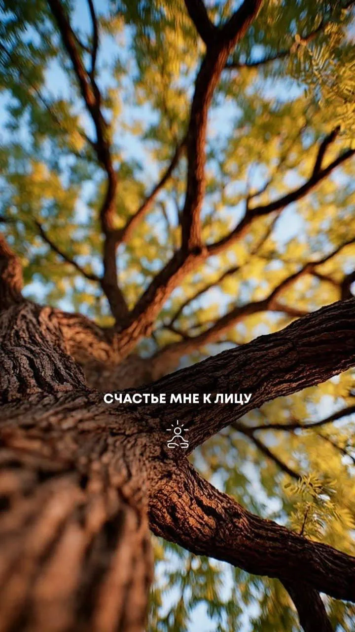 Ловите новые осенние обои для вашего телефона от команды Prosto Meditation 🍂