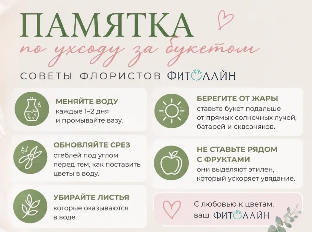 Сохраняйте памятку, чтобы букет дольше радовал вас своей красотой 💚