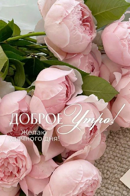 Открытки: подписаться ❤️