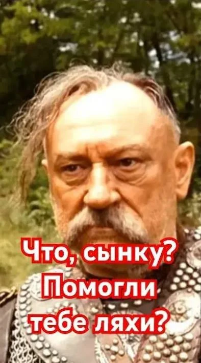 И ведь подумать никто не мог!!! Но що, сынку, допомогли тобі твої ляхи?