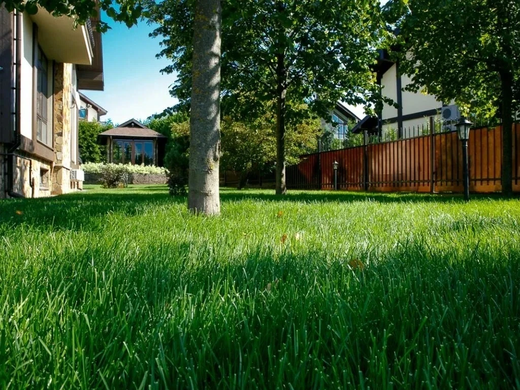 💚🏡 Конечно, ровный зеленый газон – это красиво. А то, что еще и хлопотно, забудьте! В...