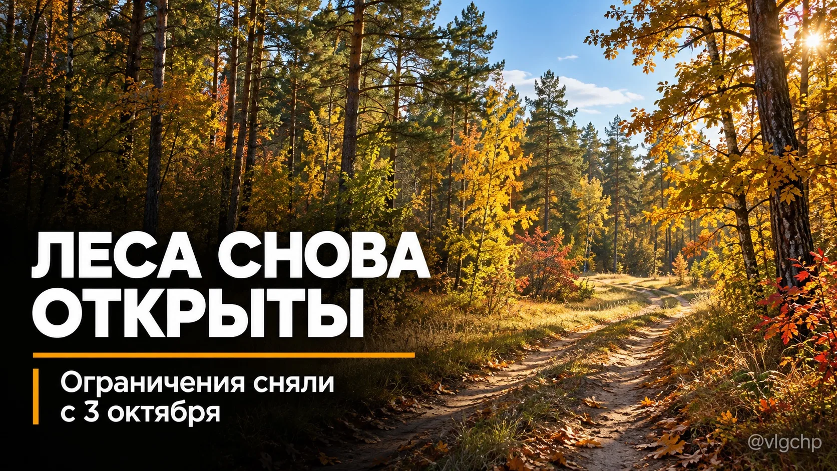 🌲 В Волгоградской области снова разрешили посещать леса.