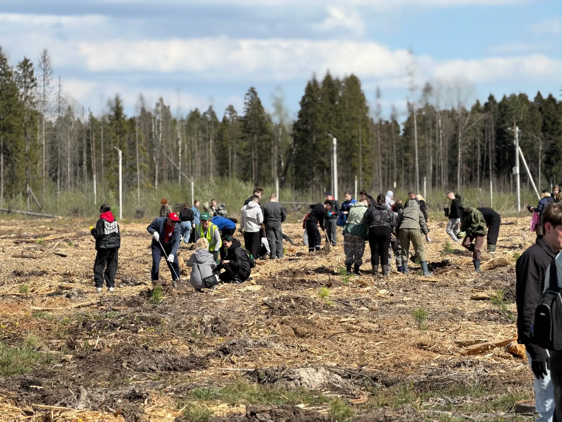 Это только начало большой работы!  🌲 Сегодня на территории Пуловского леса мы приступили к посадке с