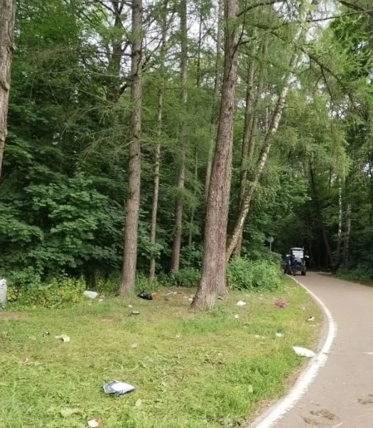 🗑 Соседи пишут, что после студентов в парке остался мусор. А сотрудникам парка теперь ...