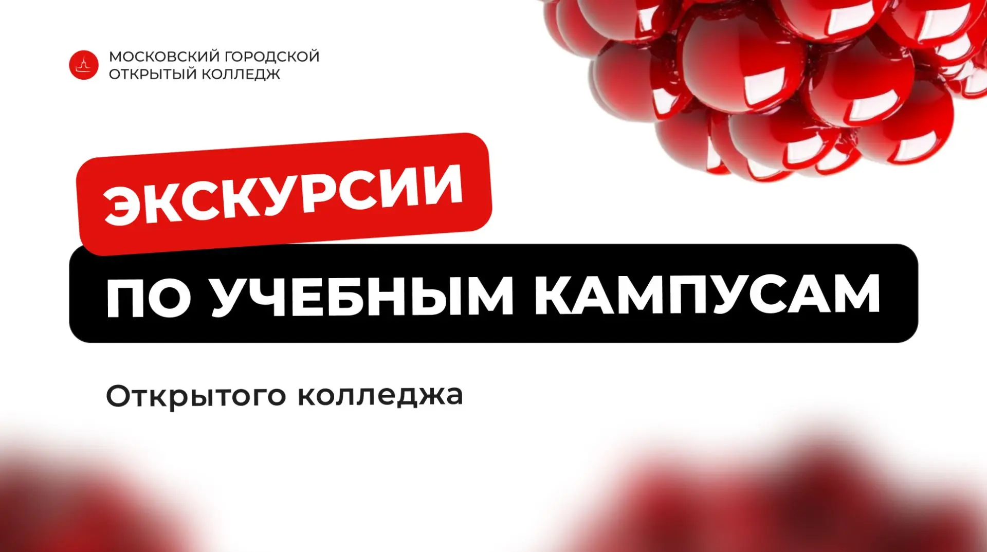 Если вдруг мы не встретились в День открытых дверей…