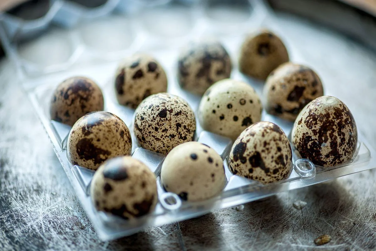 Чем полезны перепелиные яйца? 🥚 

Перепелиные яйца ценятся за богатый состав и могут стать хорошим 
