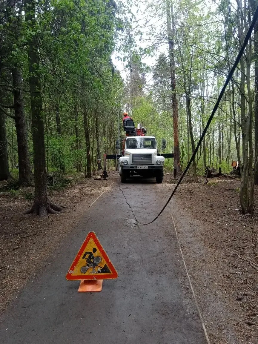 ❗️⚡️В парке Беличий остров восстановили освещение ⚡️❗️