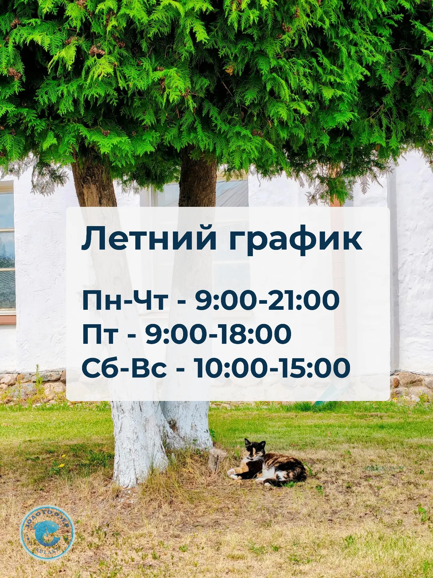 ☀ЛЕТНИЙ ГРАФИК

Друзья, напомним, что до 31 августа у нашего кол-центра немного изменился график🤗

