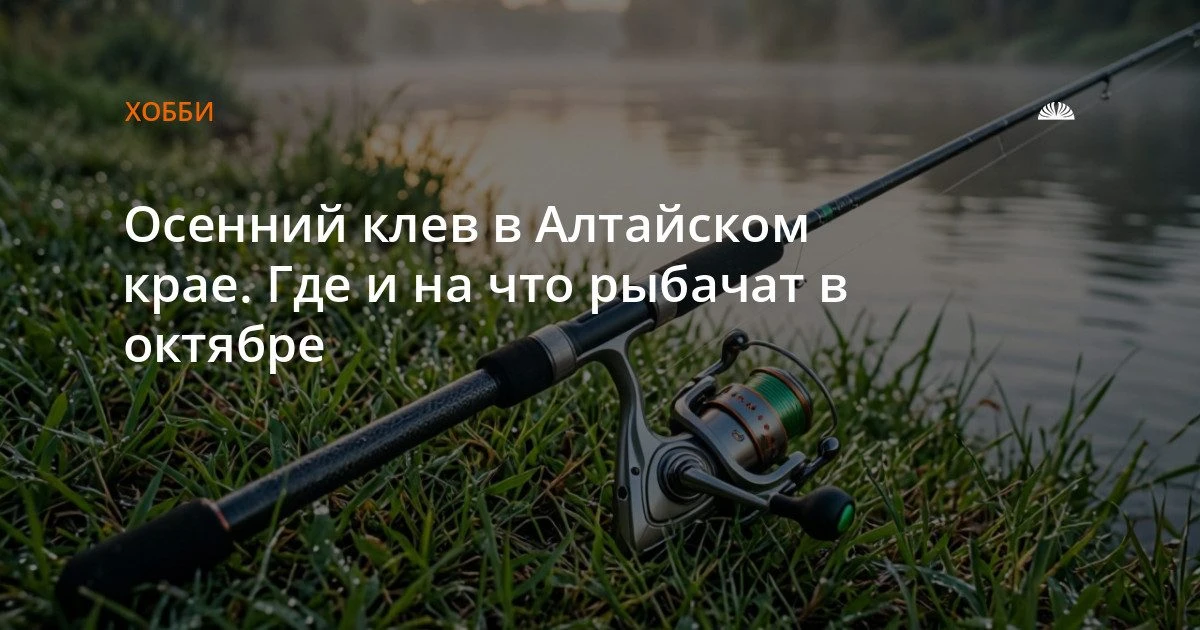 Октябрьский клев в крае: лещ на Оби, карась в протоках