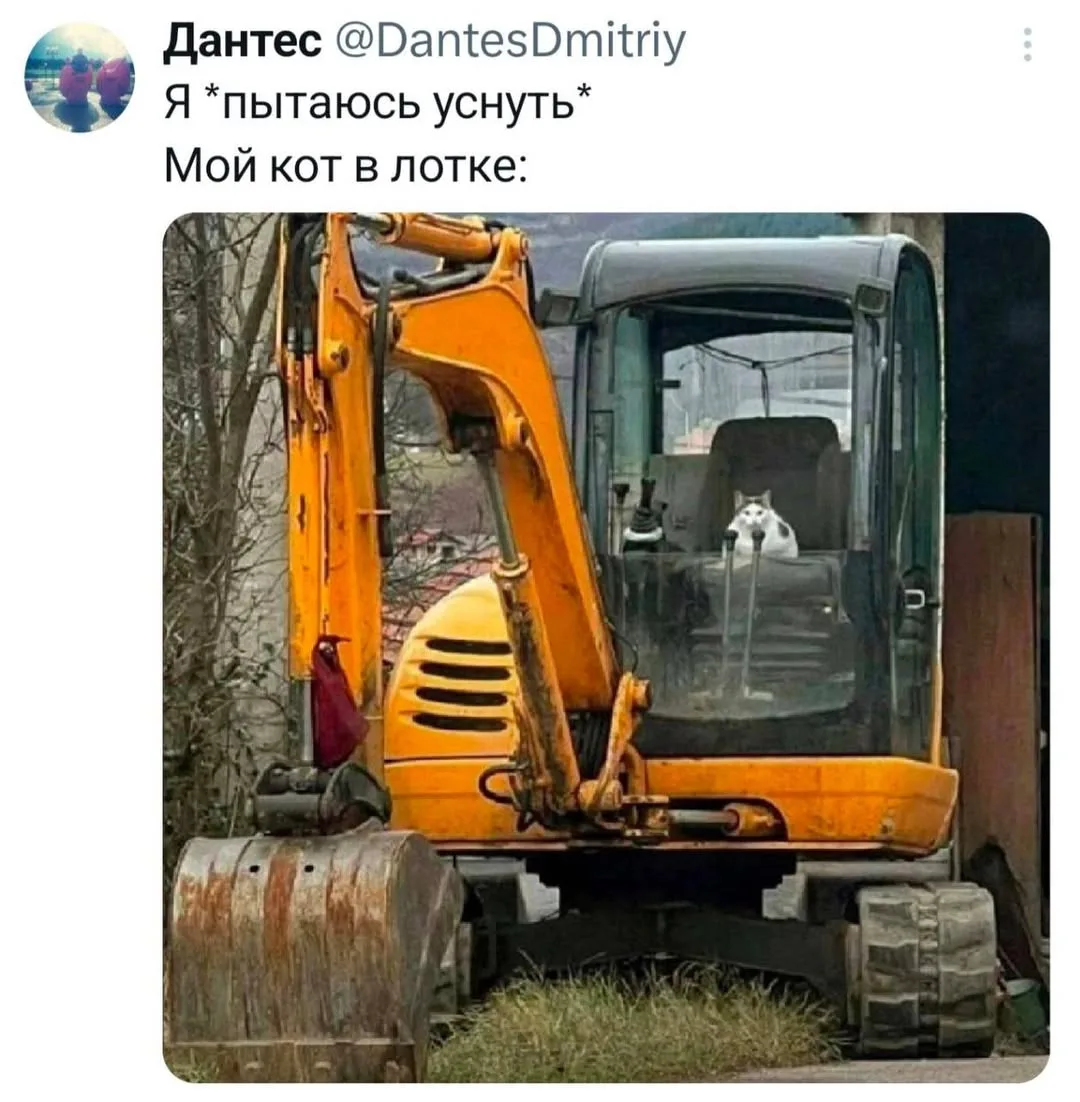 А если их котов(2,3...)😅представьте этот шум и беганье по ночам по типу тыгыдык)))
