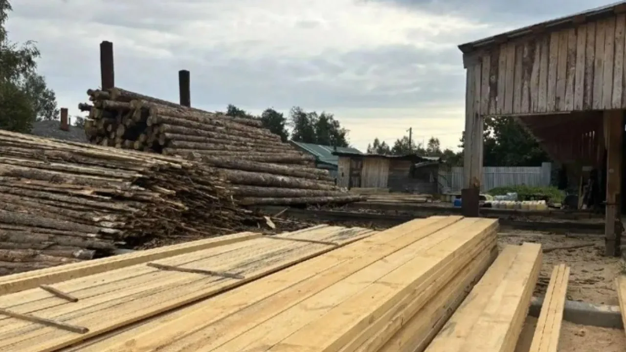 В Орехово-Зуевском округе пресекли нарушения природоохранного законодательства.