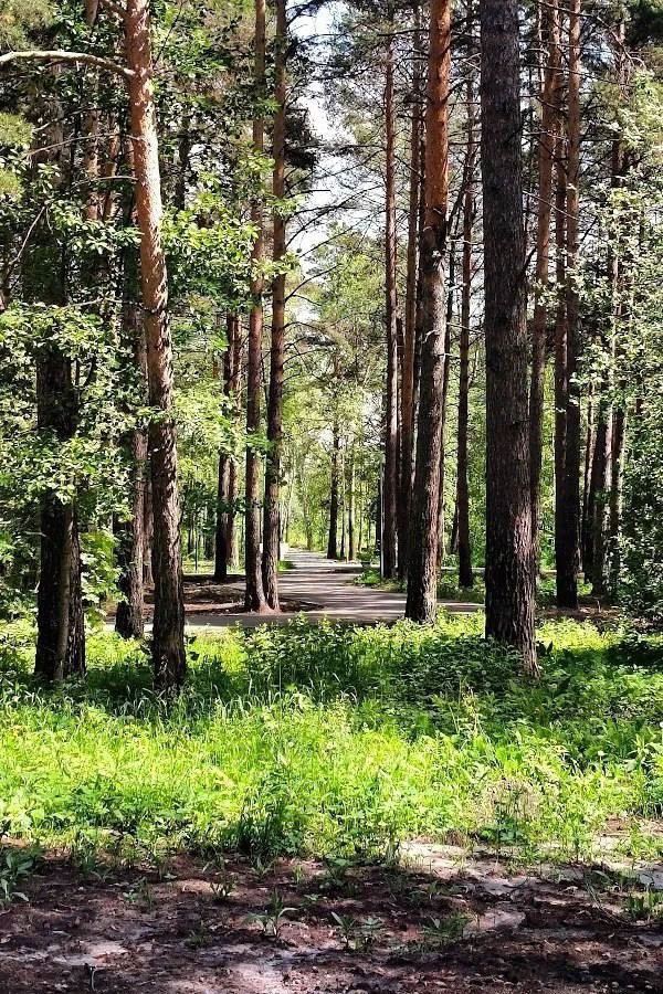 Комарово-парк ❤️