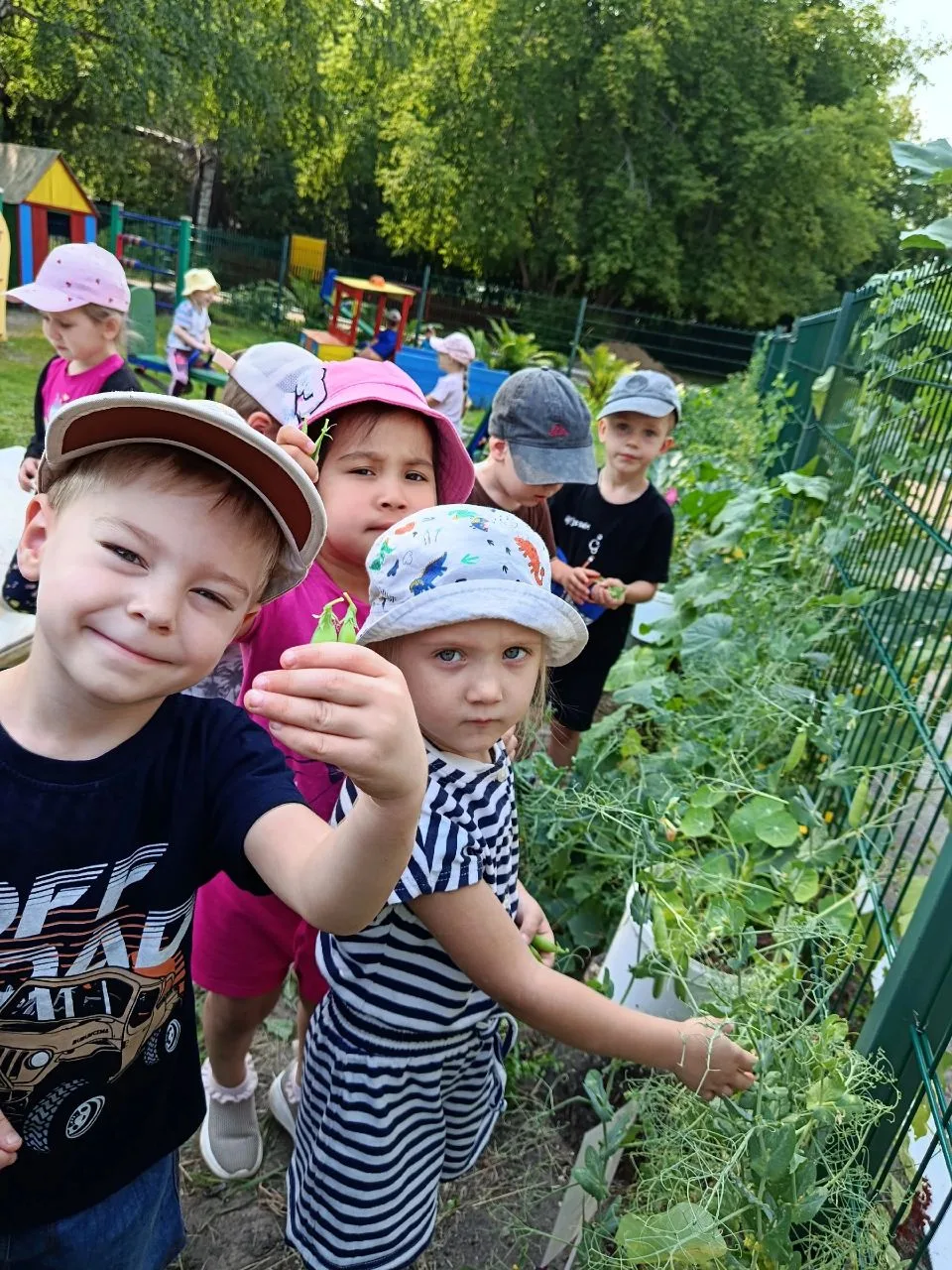 🌾✨ Собираем наш первый урожай! 🎉 ✨🌾
Сегодня наши маленькие садоводы 👦👧 сделали первый шаг к сам