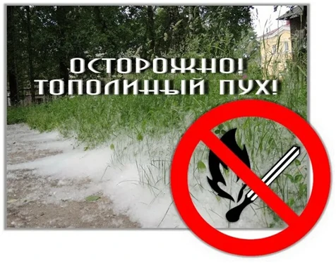 Наступила пора цветения тополей. В это время необходимо особое внимание уделять противопожарной безо