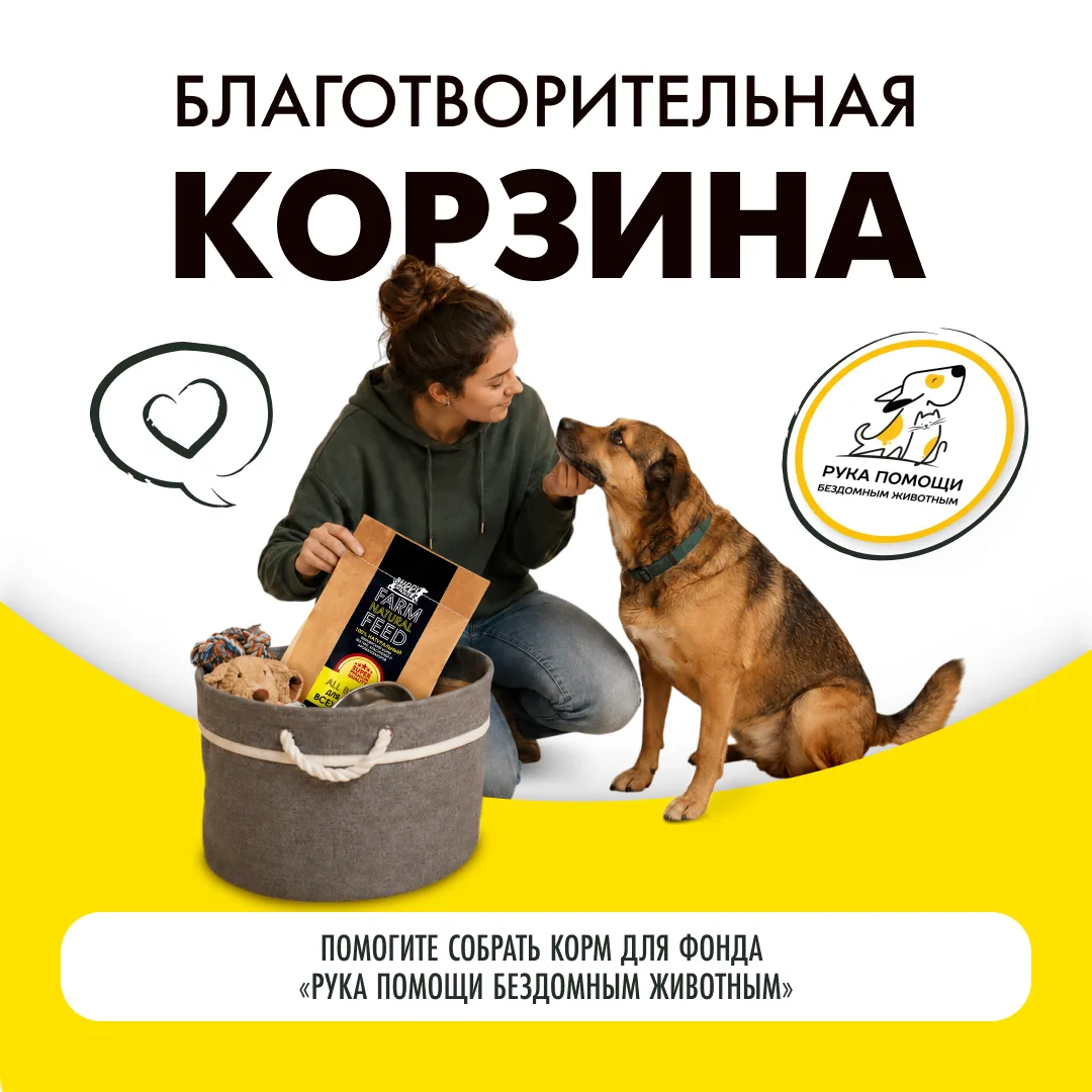 Через 12 часов заканчивается «корзина помощи приютам» для Рука помощи бездомным животным, г. Пенза. 