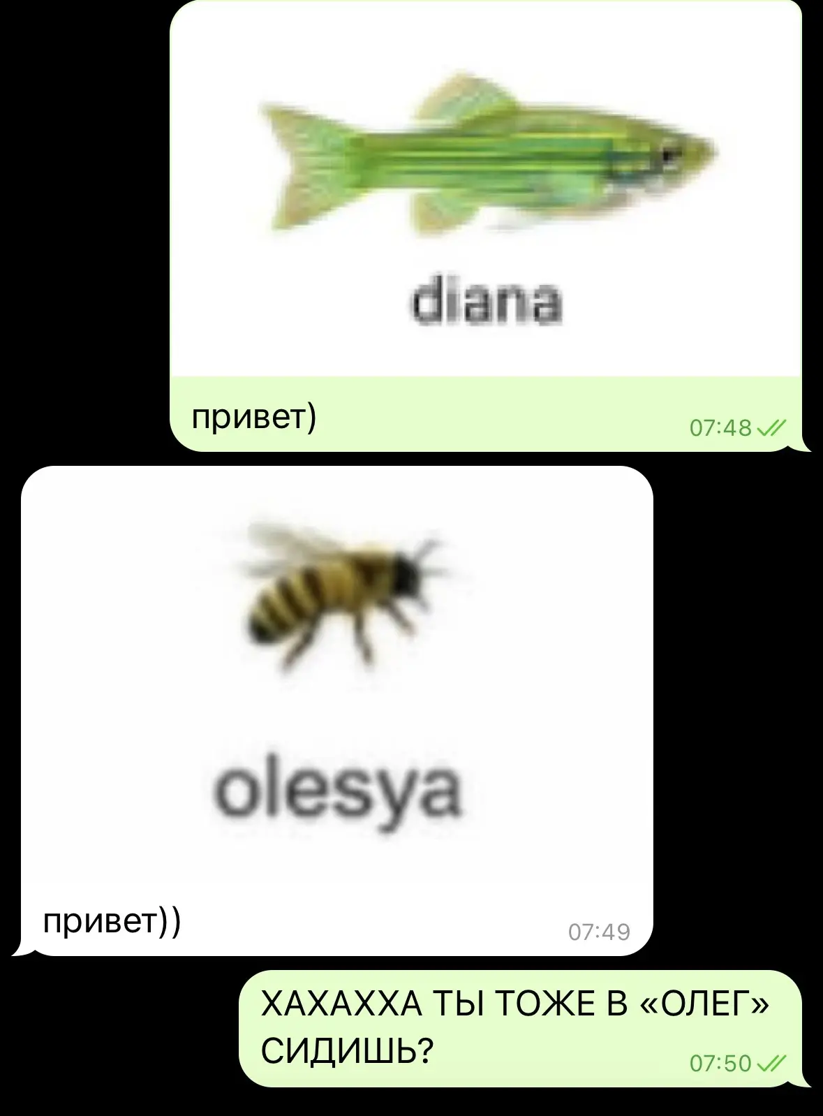 ИЩИ СВОЁ ИМЯ ТУТ ХАХАХАХА