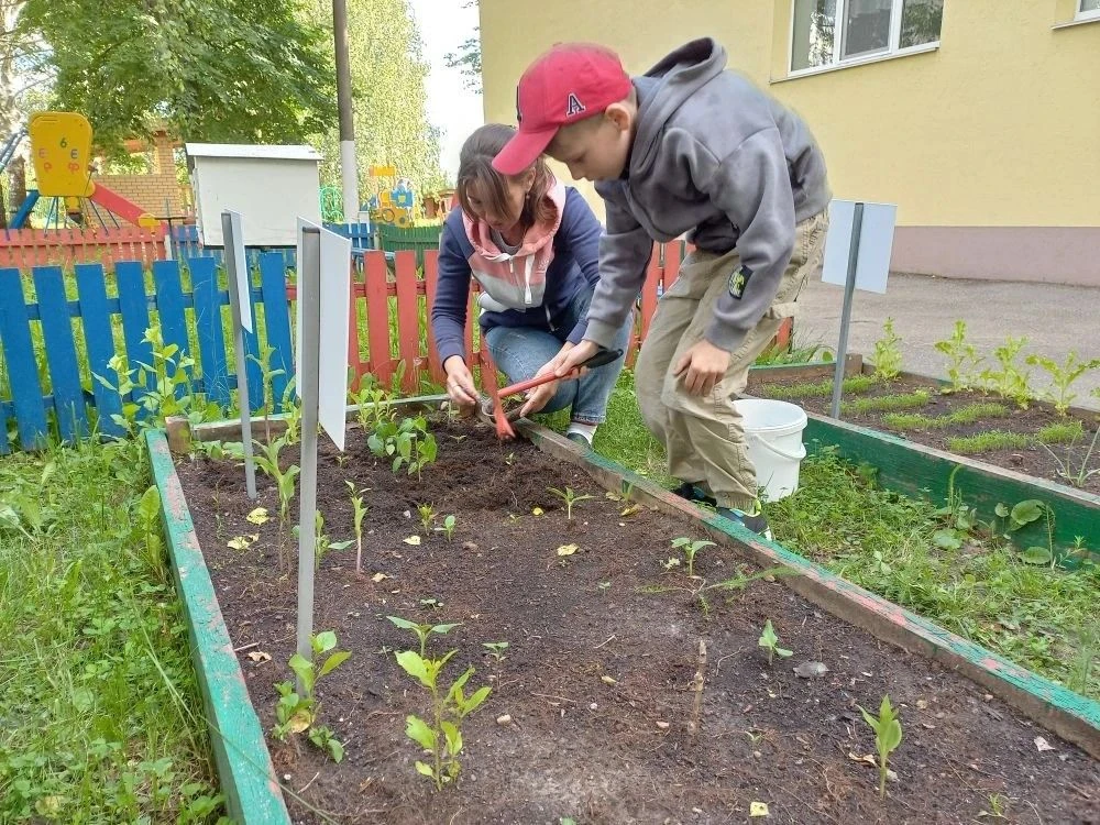 В нашем детском саду вовсю кипит огородная жизнь!🌱
Будем мы ухаживать, часто поливать, будем за рос