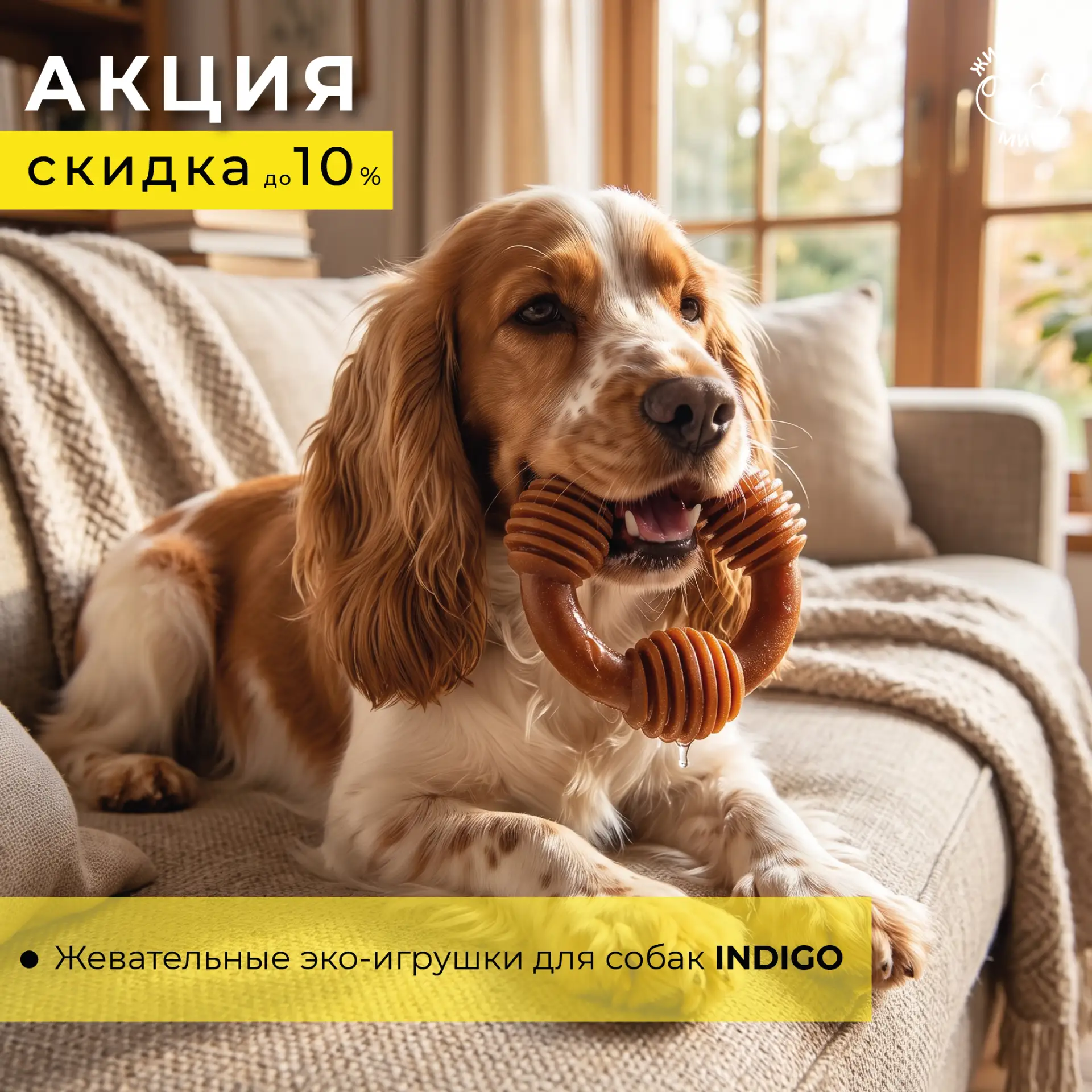 🌱 Спасение и стильный эко-тренд: скидки до 10% на жевательные игрушки INDIGO!
