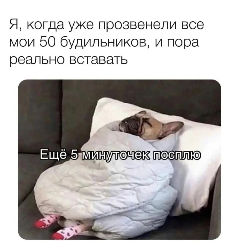 Будильник — это единственный враг, которого нельзя победить, но можно игнорировать. Вы ...