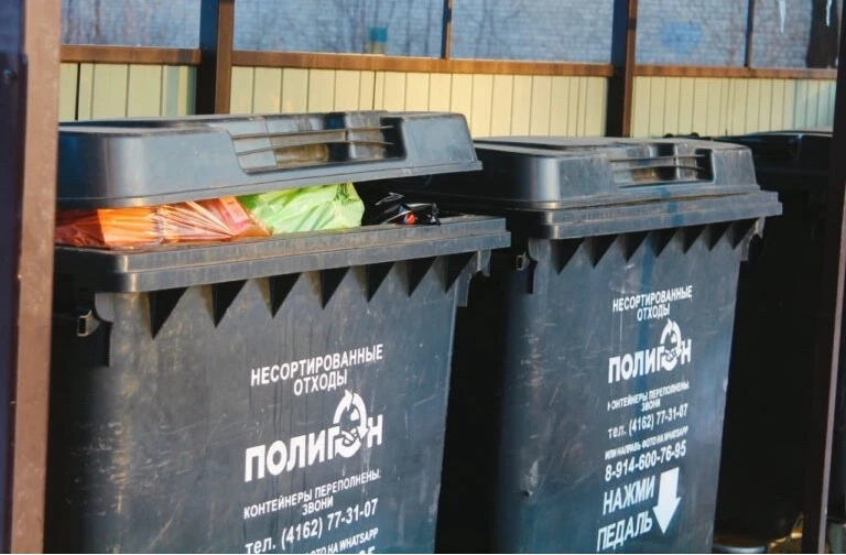 🗑 В Благовещенске возле мусорных контейнеров установят камеры с фотоловушками