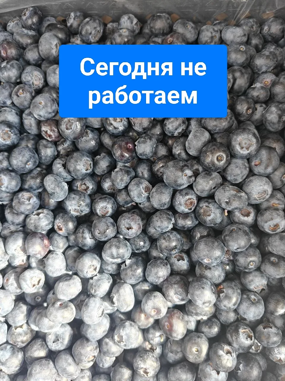 Сегодня не работаем,  пришла машина плохого качества!! Производили сбор ягоды