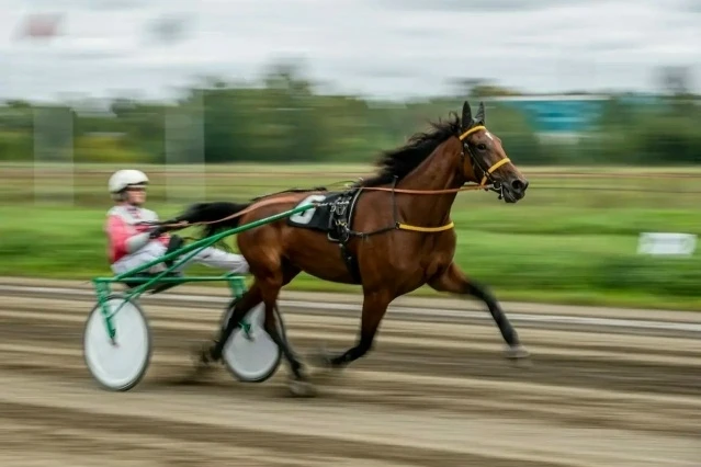 🐎 Рысистые бега на Раменском ипподроме будут проходить на этой неделе 1 и 2 августа (о нет, уже авг