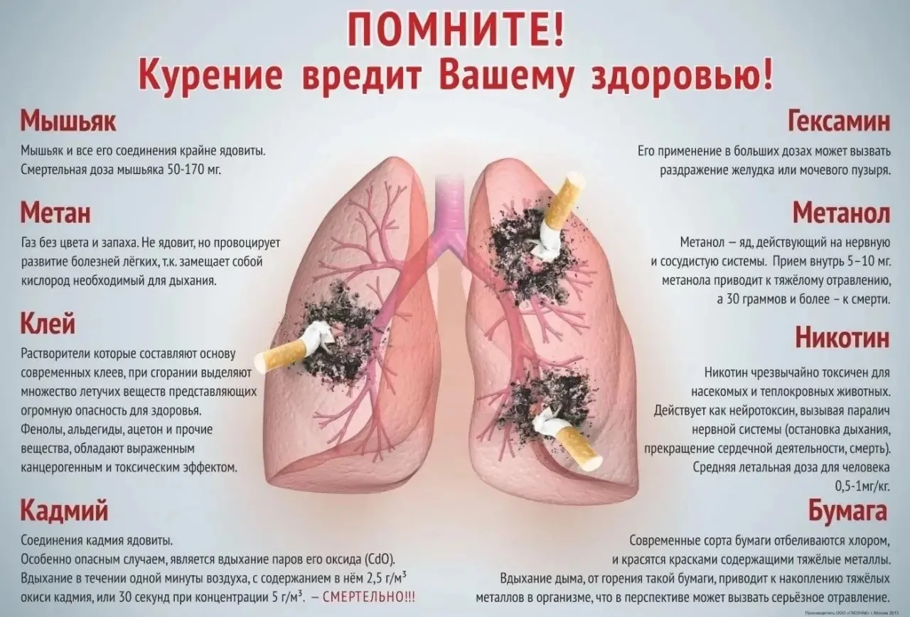 Неделя отказа от табака. Продолжение: честный разговор о зависимости 🚭