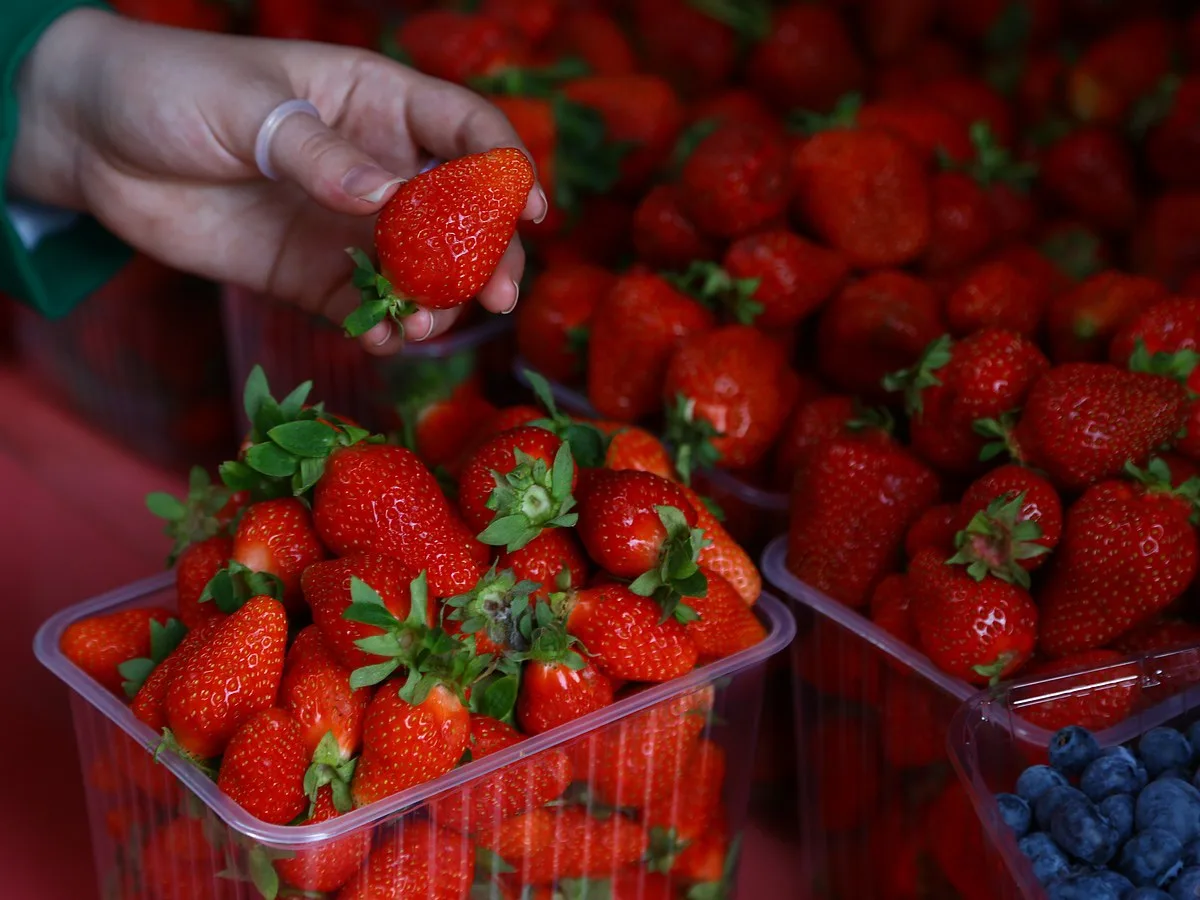 🍓В Приморье 20 июня состоится масштабный праздник «Фестиваль клубники»  В этом праздник пройдет уже 