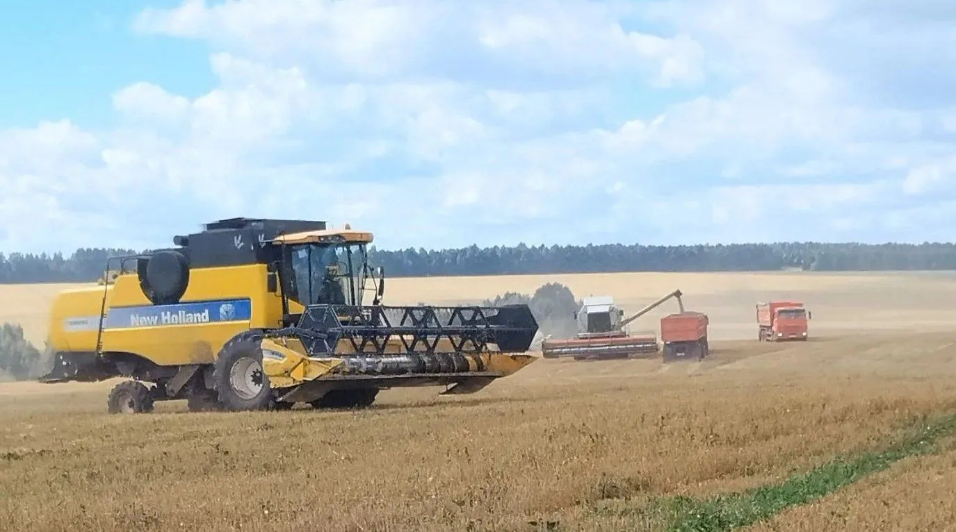 Игътибар – конкурс!

🚜Районда комбайнчылар һәм машина йөртүчеләр арасында конкурс игълан ителде.

К