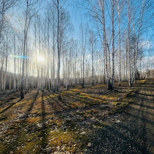 Присылайте Ваши фото в "Предложить пост"