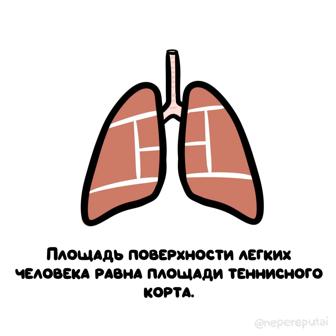 Не спешите записываться в теннисный клуб, ведь у вас уже есть теннисный корт... внутри!
