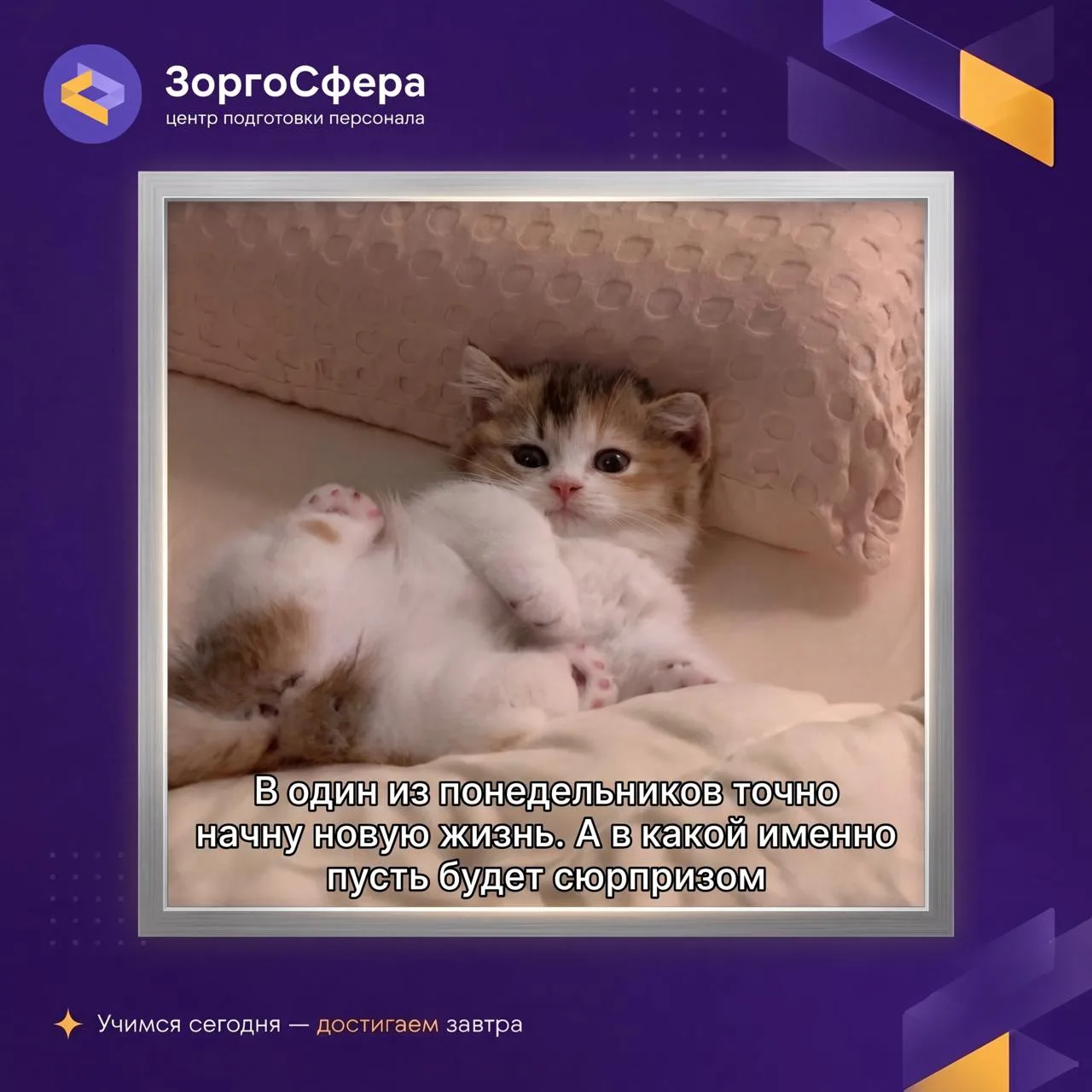 Менять профессию или прокачать текущую: как понять, что вам нужно сейчас?