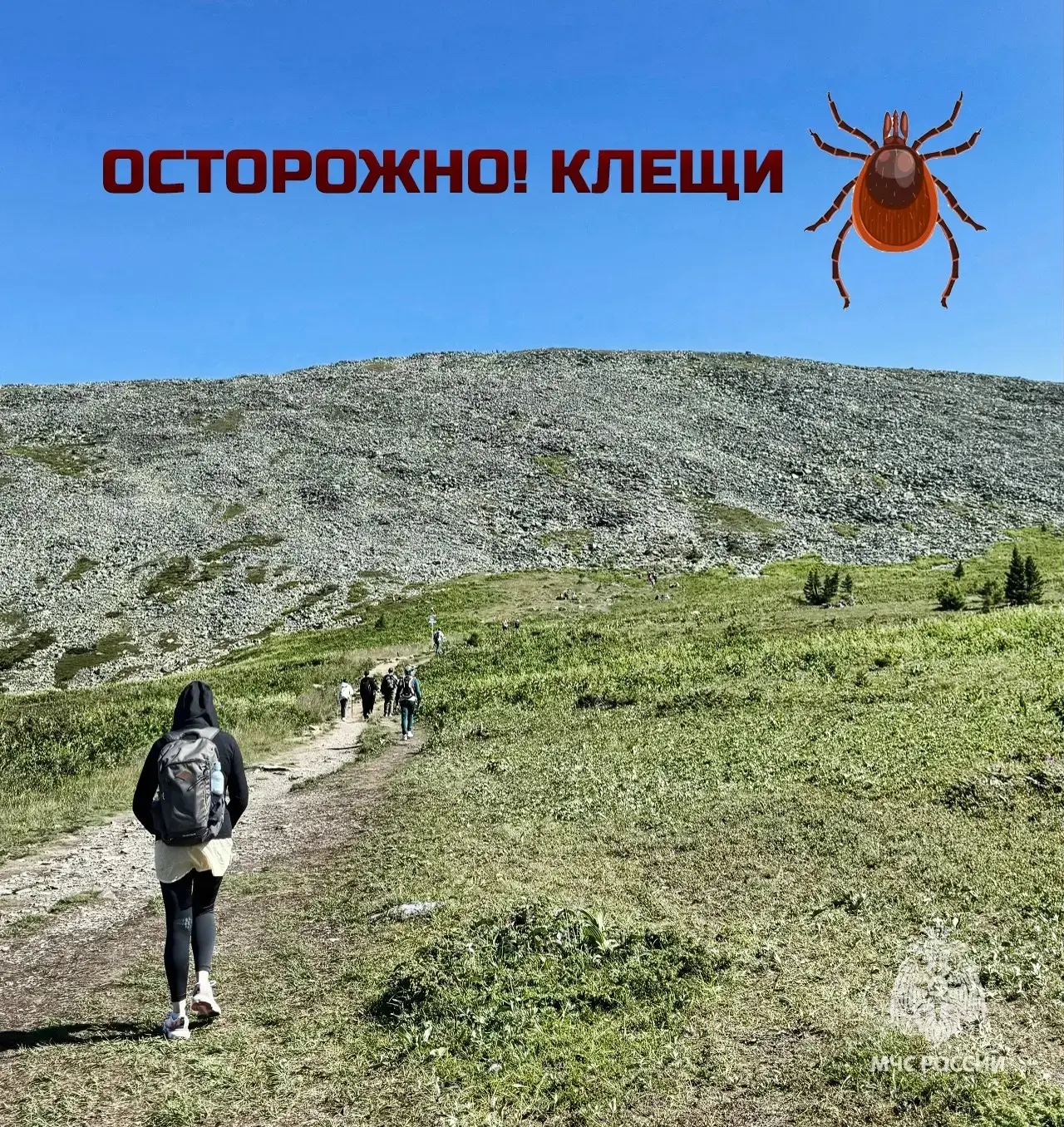 Осторожно! Клещи