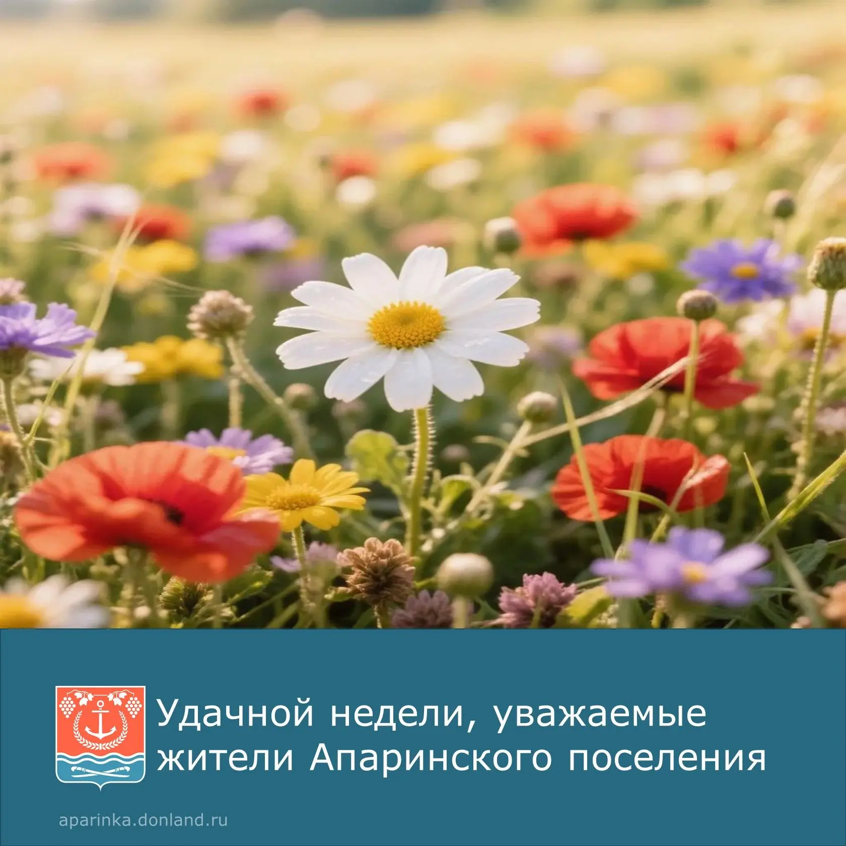 🌸Удачной и продуктивной недели, наполненной радостью, успехами и хорошим настроением.
             