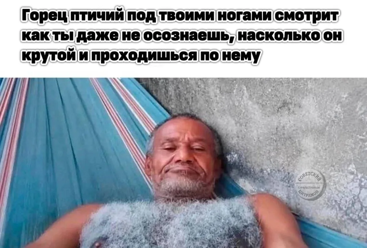 Цитрамон. Подписаться
