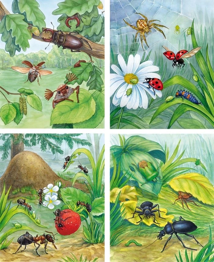 🐝Удивительный мир насекомых 🐛